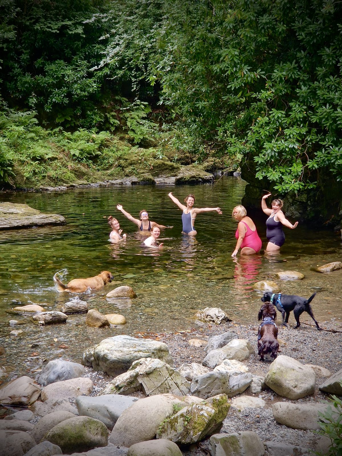Women and their dogs paddling in a river pool: little ones and dogs welcome at meets